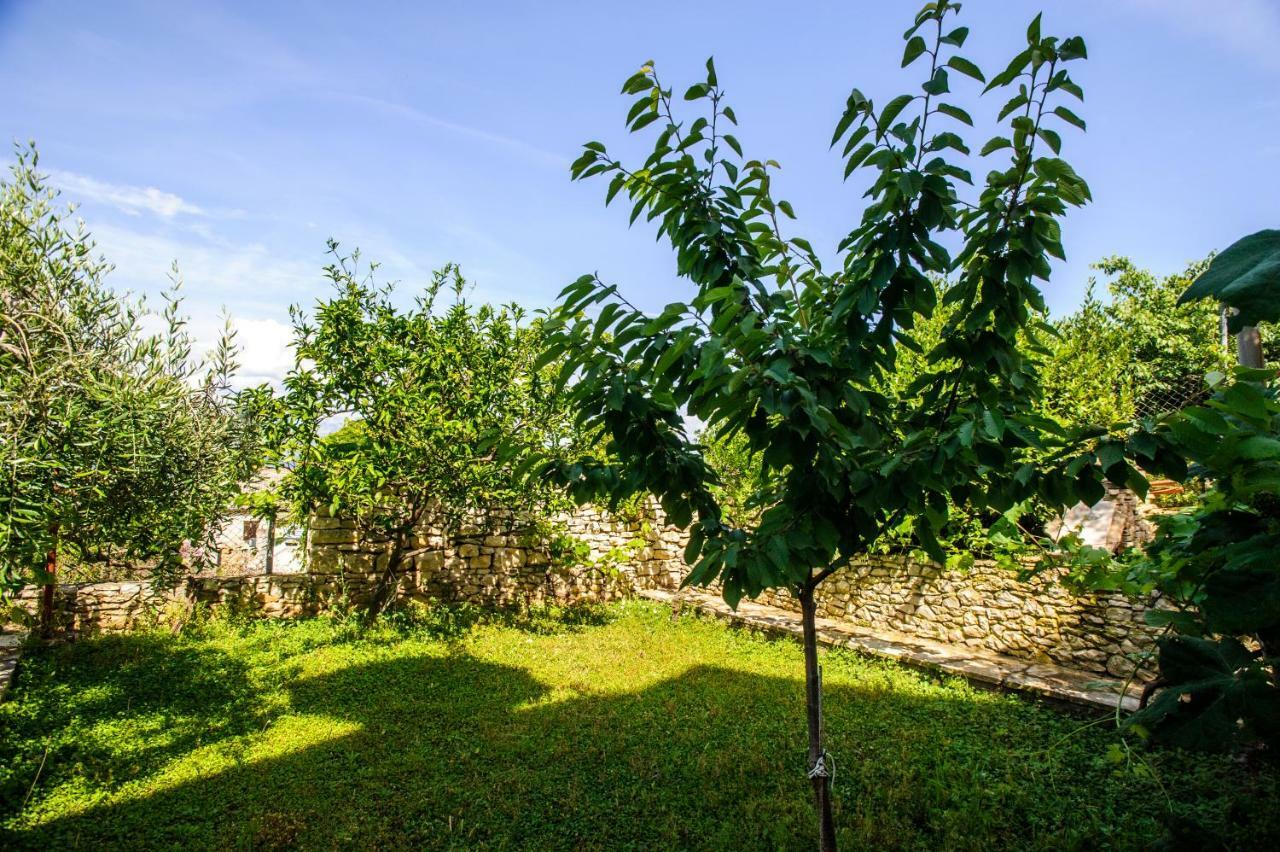 Great View Apartment Sutivan Ngoại thất bức ảnh